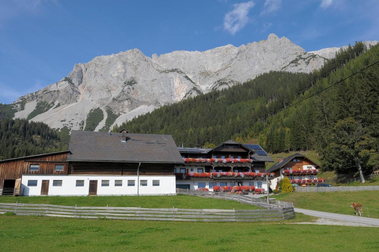 Feichtlehnerhof Bed and Breakfast Ramsau am Dachstein Buitenkant foto