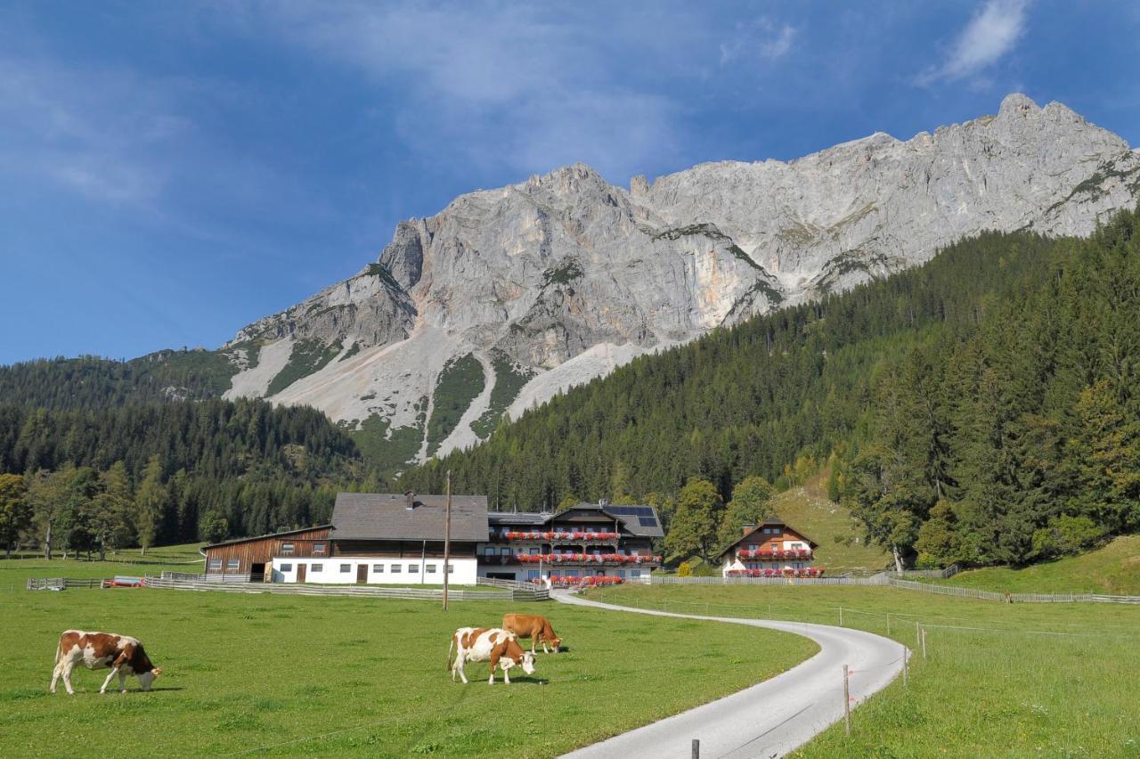 Feichtlehnerhof Bed and Breakfast Ramsau am Dachstein Buitenkant foto