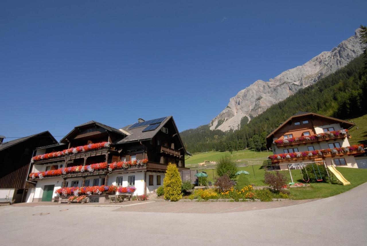 Feichtlehnerhof Bed and Breakfast Ramsau am Dachstein Buitenkant foto